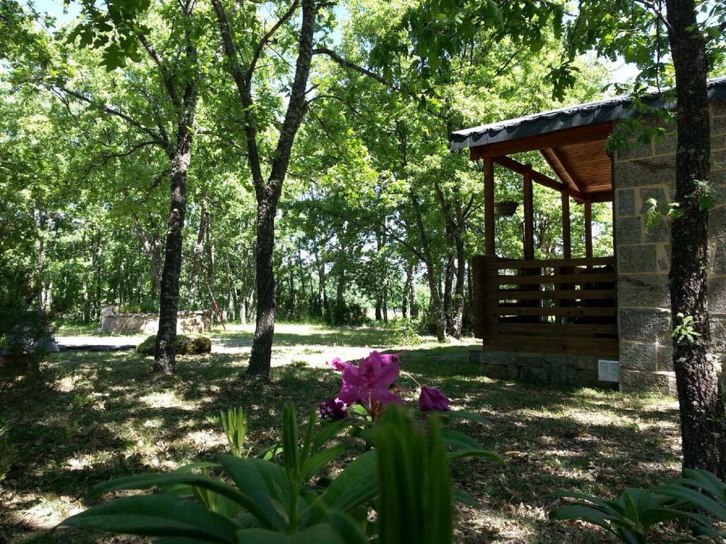 Cabanas Vallecino Manzanal de los Infantes Exterior foto