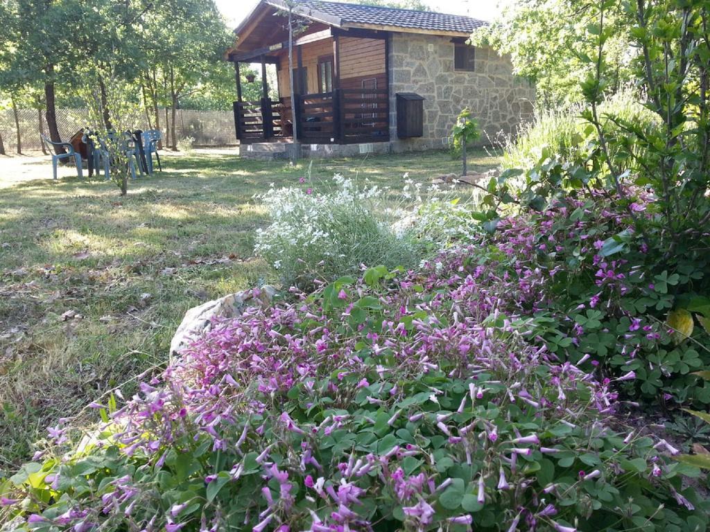 Cabanas Vallecino Manzanal de los Infantes Exterior foto