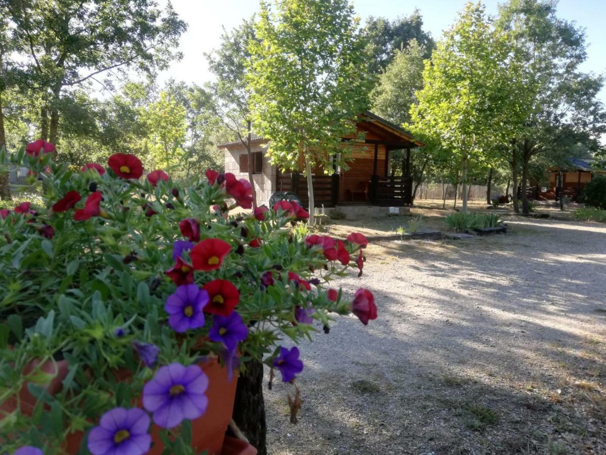 Cabanas Vallecino Manzanal de los Infantes Exterior foto
